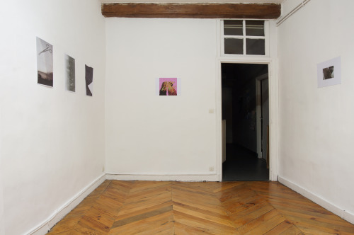 Hard Copy, Installation view, home.alonE, Clermont-Ferrand, France.
